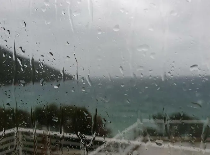 Elia * Πτελεός